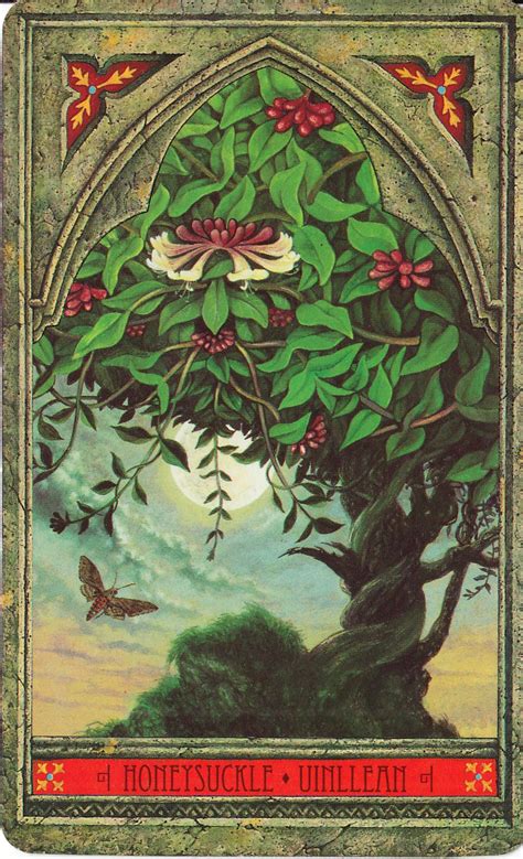 Embracing the Wisdom of the Green World: An Exploration of the Green Magic Oracle